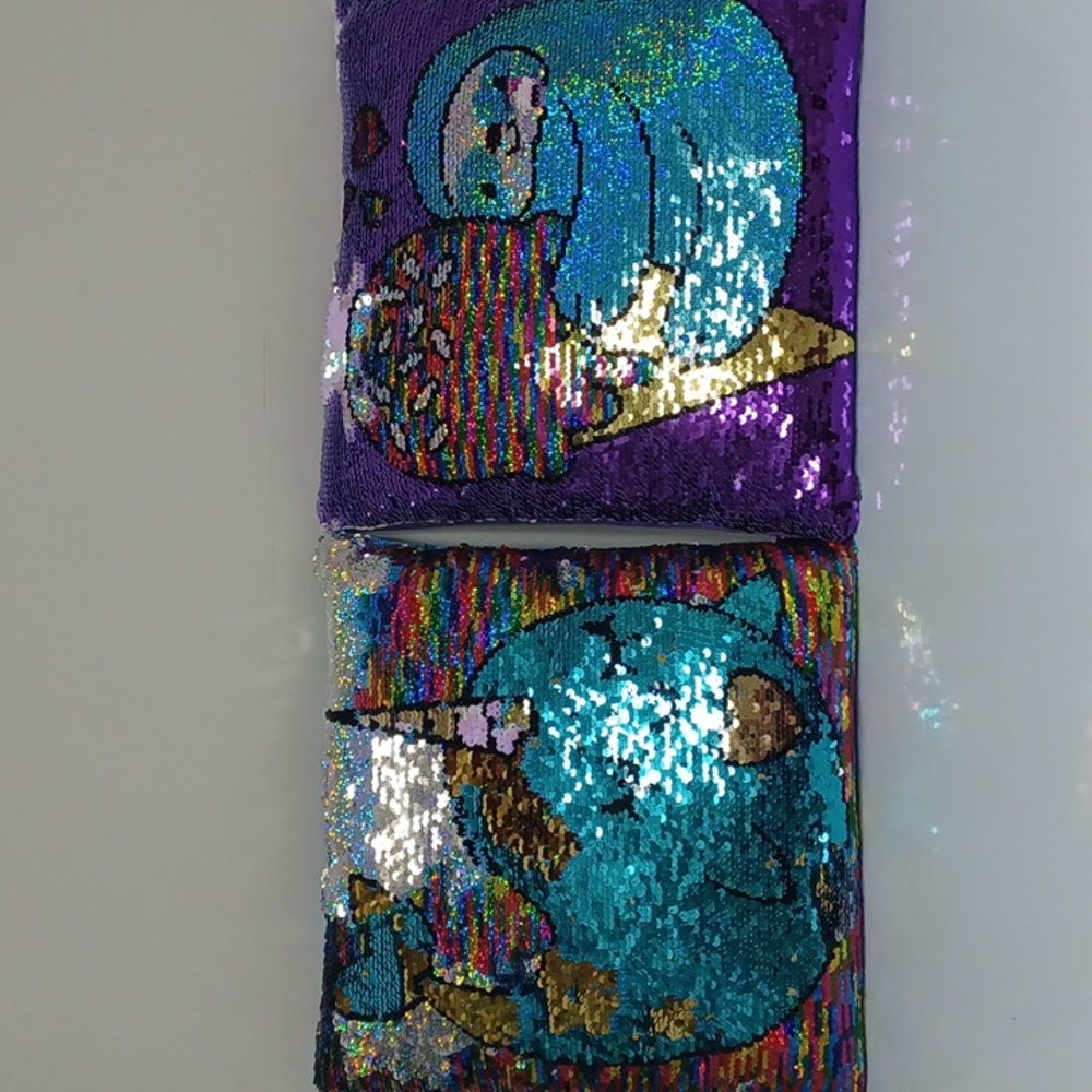 Two Decorative Siquins Pillows